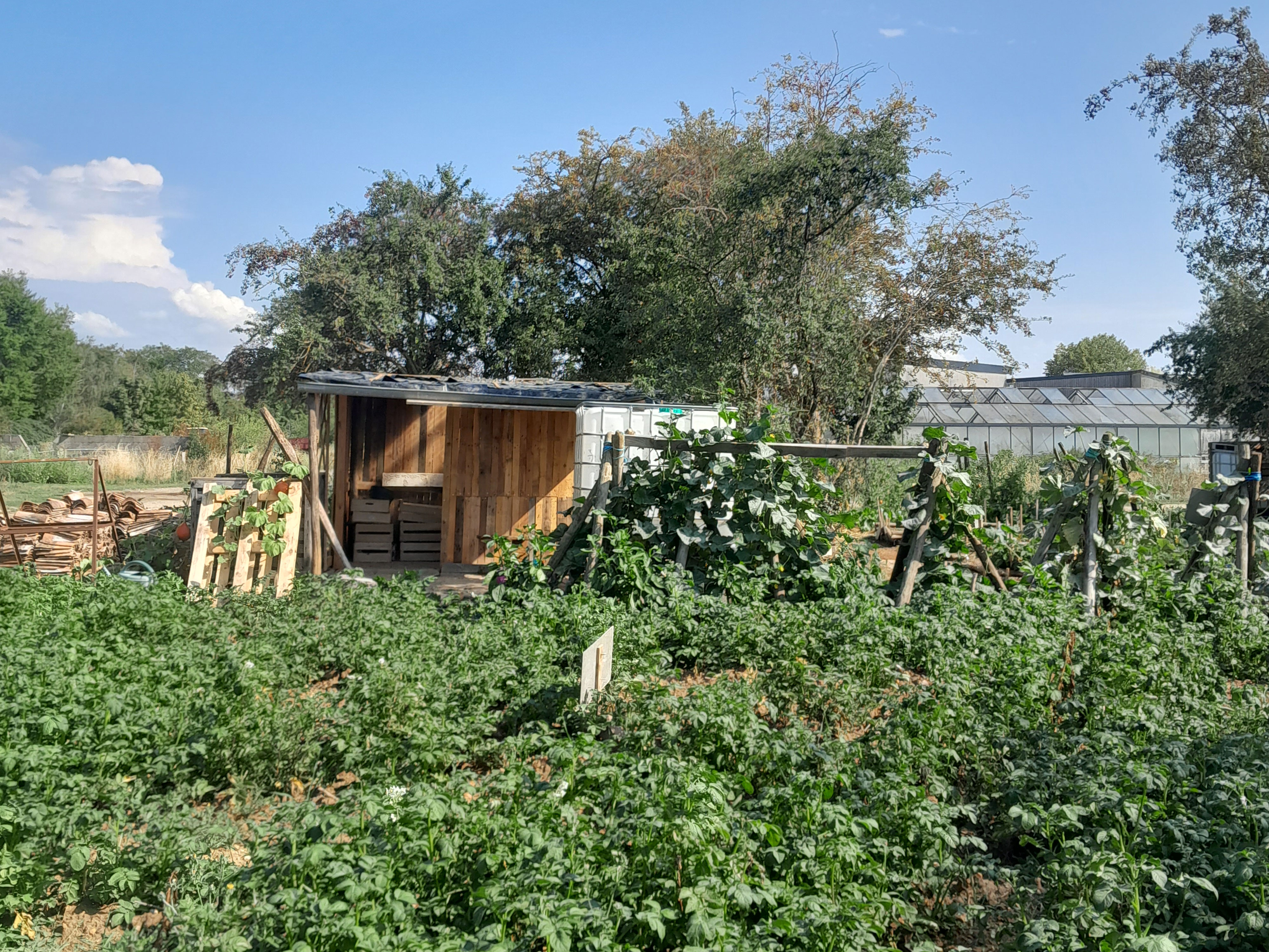 Jardin de permaculture