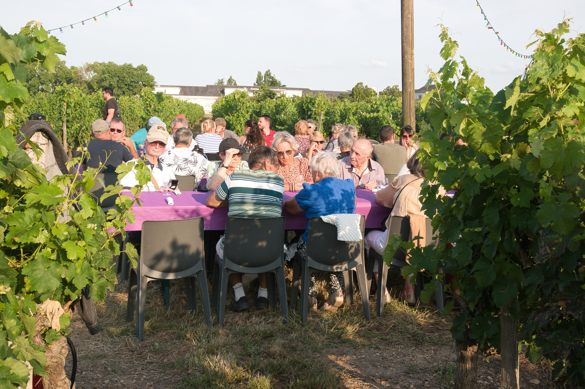 On dîne en vignes 2023