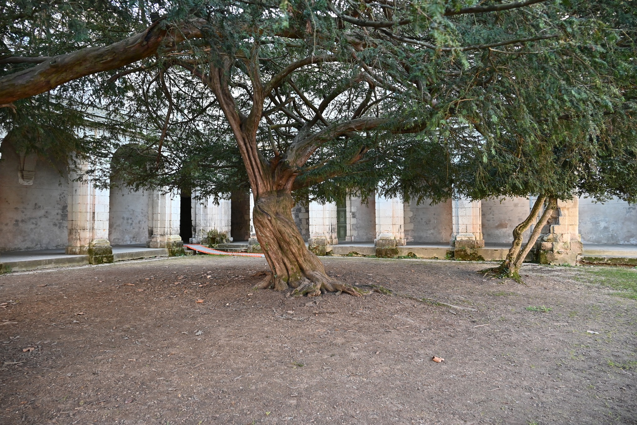 ArcadesPrieuré des Nobis - Cours exterieure