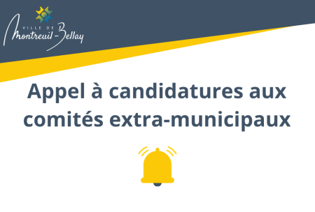 Appel &agrave; candidatures aux comit&eacute;s extra-municipaux