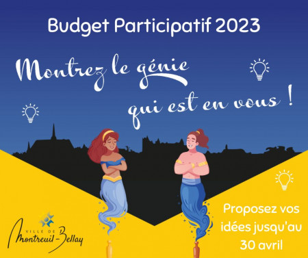 Budget Participatif - Phase de dépôt de projet